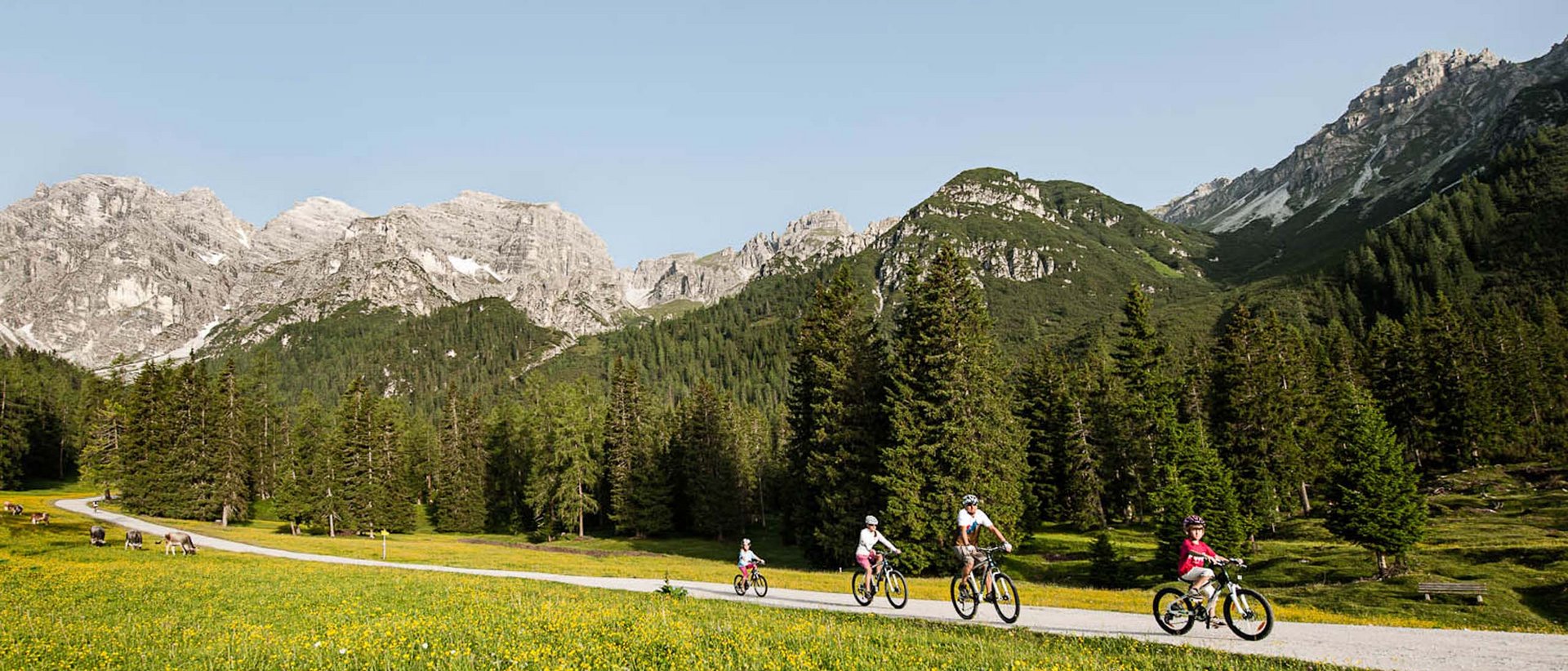 Radtouren für jeden Geschmack Familie radelt auf einem Weg in einer Bergwiese mit Alpen im Hintergrund