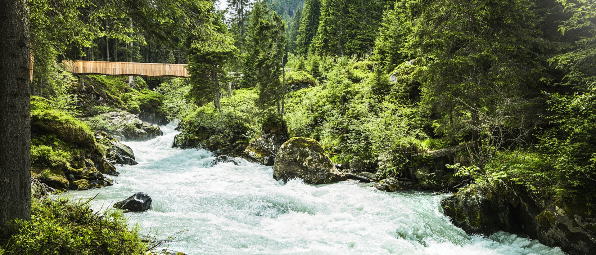 Entdecken Sie drei abwechslungsreiche Touren direkt ab unserem Hotel – ideal für Naturliebhaber, Genießer und Familien. Wild fließender Fluss in dichtem Bergwald mit Holzbrücke