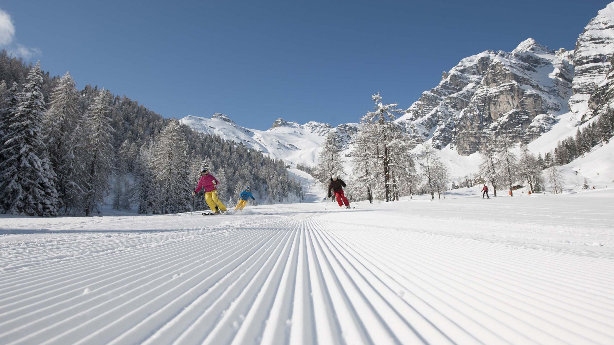 Skiing in Stubaital: offers Skiers on groomed slope with snowy mountains and trees in background