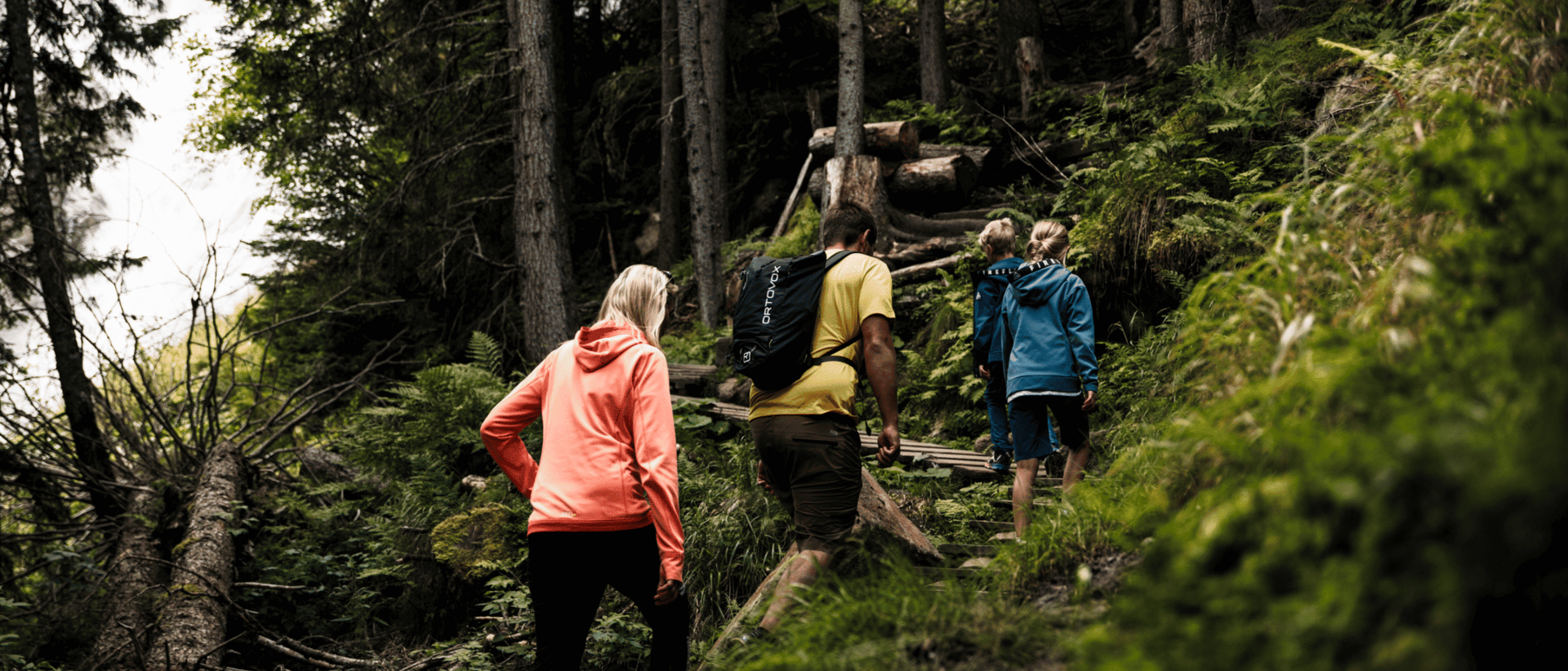 Erleben Sie den perfekten Wandertag: Tipps, Packliste, Sicherheitshinweise & mehr für ein unvergessliches Bergerlebnis. Familie wandert bergauf auf Waldpfad umgeben von Bäumen und Grün
